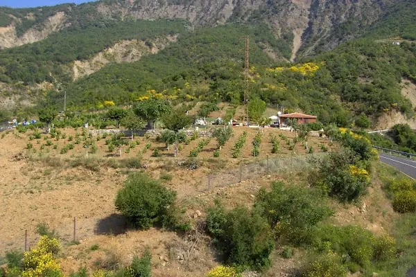 Uçmakdere Yamaç Paraşütü ve Kamp Bölgesi - Resim 10
