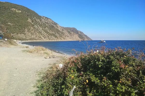 Uçmakdere Yamaç Paraşütü ve Kamp Bölgesi - Resim 8