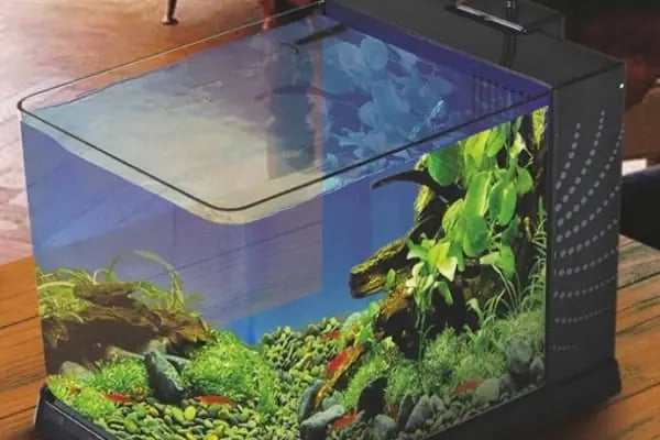 Alsancak Petshop 2 - Resim 9