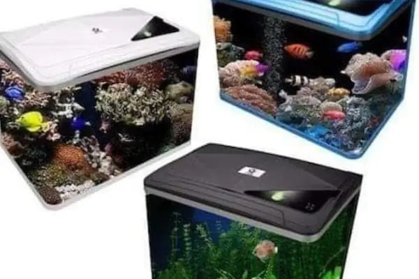 Alsancak Petshop 2 - Resim 15