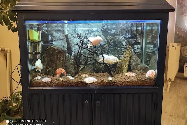 Alsancak Petshop 2 - Resim 12