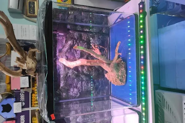 Alsancak Petshop 2 - Resim 3