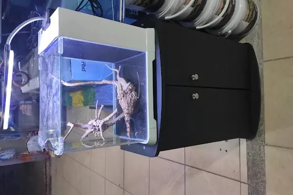 Alsancak Petshop 2 - Resim 18