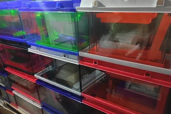 Alsancak Petshop 2 - Resim 5