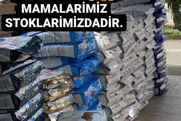 Alsancak Petshop 2 - Resim 14