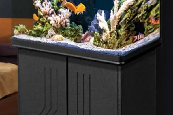 Alsancak Petshop 2 - Resim 6