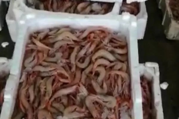 Eserler Gıda Su Ürünleri San. Tic. Ltd. Şti - Resim 20