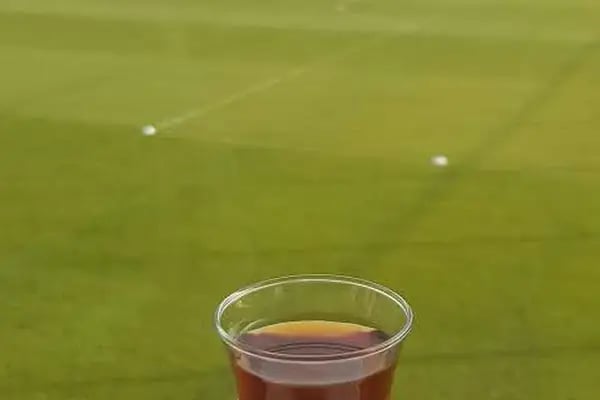 Alanyaspor - Resim 8