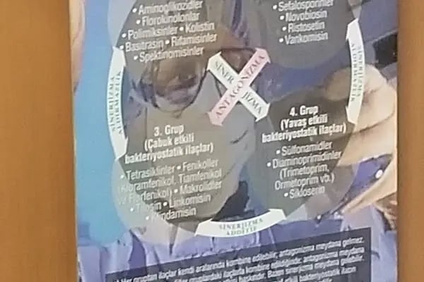 Veteriner Hekim Ali Er (Can Hayvan Sağlık Kliniği ) - Resim 14