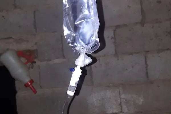 Veteriner Hekim Ali Er (Can Hayvan Sağlık Kliniği ) - Resim 12