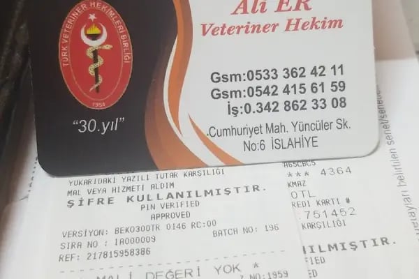Veteriner Hekim Ali Er (Can Hayvan Sağlık Kliniği ) - Resim 13