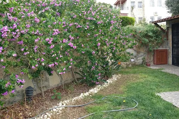 Çağdaş Turgut Reis Otel Ve Apartları - Resim 4