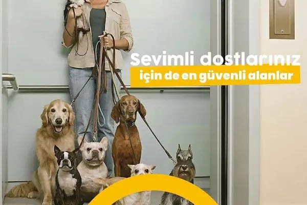 ORVİS ASANSÖR TEKNOLOJİ SANAYİ VE TİCARET LİMİTED ŞİRKETİ - Resim 5