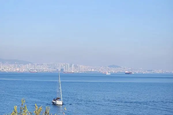 Calanthe Büyükada - Resim 4