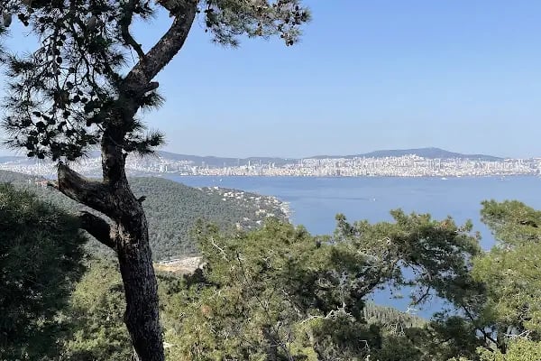 Calanthe Büyükada - Resim 12