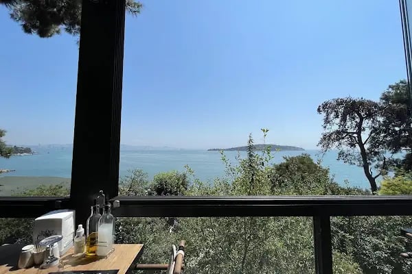 Calanthe Büyükada - Resim 10