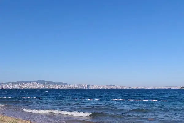 Calanthe Büyükada - Resim 15