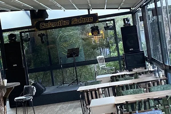 Calanthe Büyükada - Resim 17