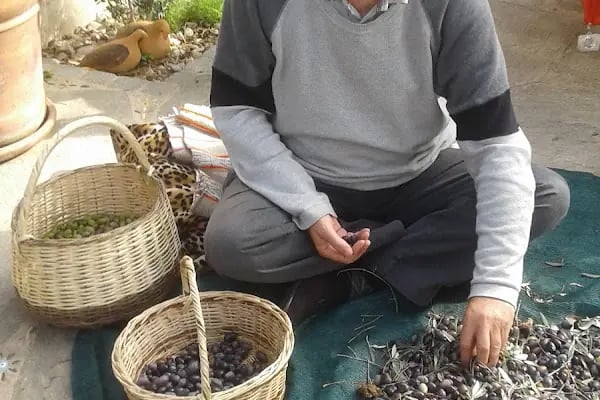 Çiftlik Mustafa Yazıcı İöo - Resim 17
