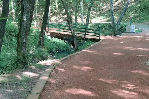 Irmak Tabiat Parkı - Resim 16