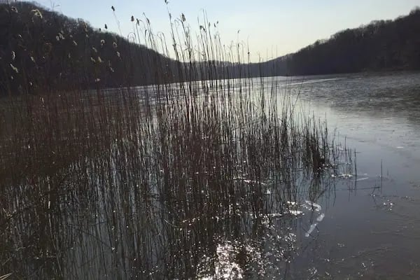 Irmak Tabiat Parkı - Resim 18