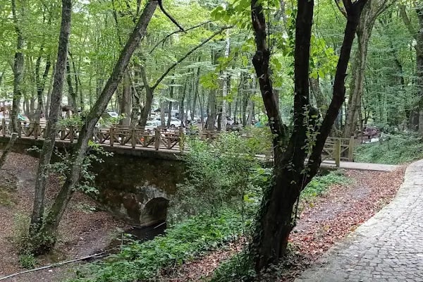 Irmak Tabiat Parkı - Resim 12