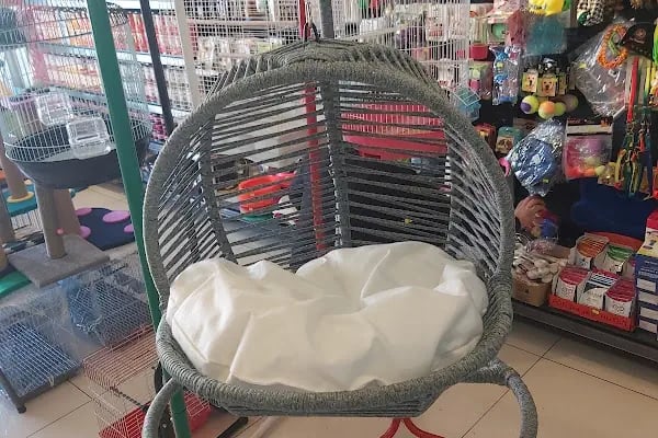 Çınar Akvaryum Petshop - Resim 15