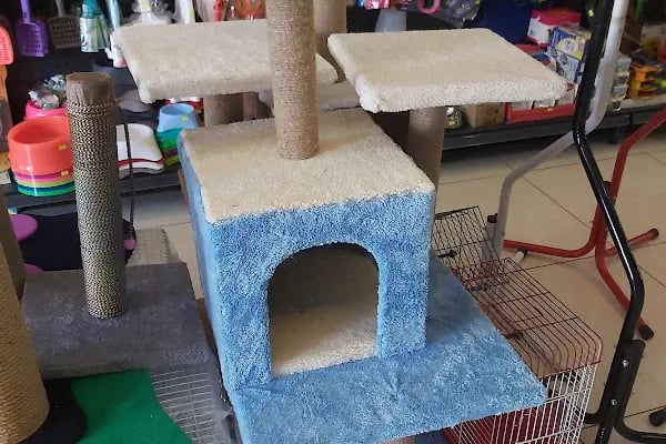 Çınar Akvaryum Petshop - Resim 10