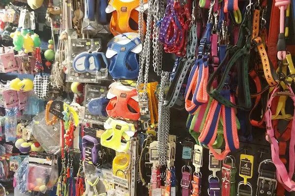 Çınar Akvaryum Petshop - Resim 3