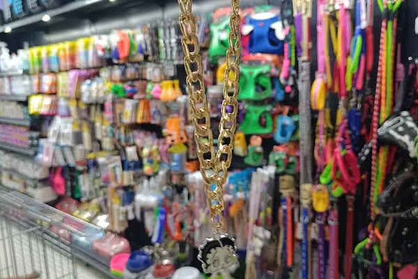 Çınar Akvaryum Petshop - Resim 19