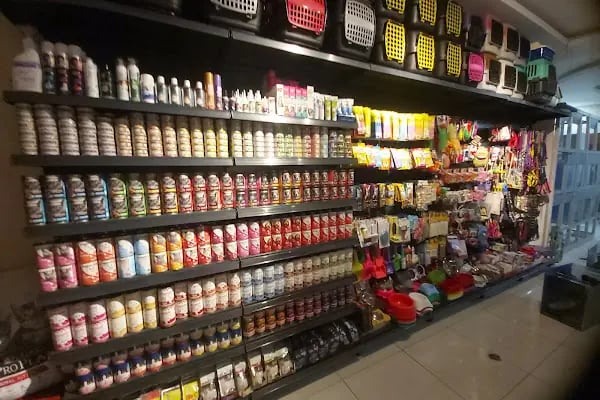 Çınar Akvaryum Petshop - Resim 8