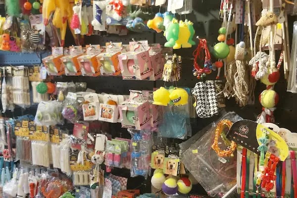 Çınar Akvaryum Petshop - Resim 16
