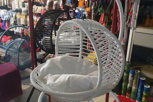 Çınar Akvaryum Petshop - Resim 12
