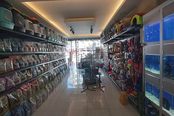Çınar Akvaryum Petshop - Resim 11