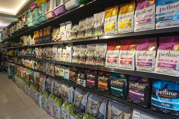 Çınar Akvaryum Petshop - Resim 5