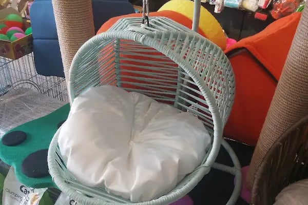 Çınar Akvaryum Petshop - Resim 9