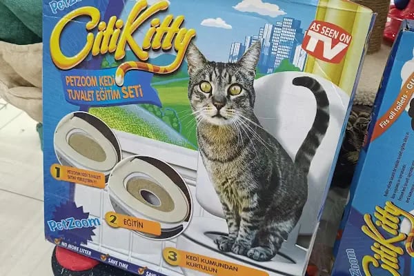 Çınar Akvaryum Petshop - Resim 4