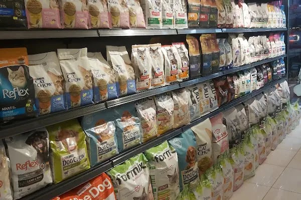 Çınar Akvaryum Petshop - Resim 20