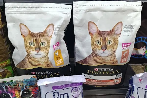 Çınar Akvaryum Petshop - Resim 13