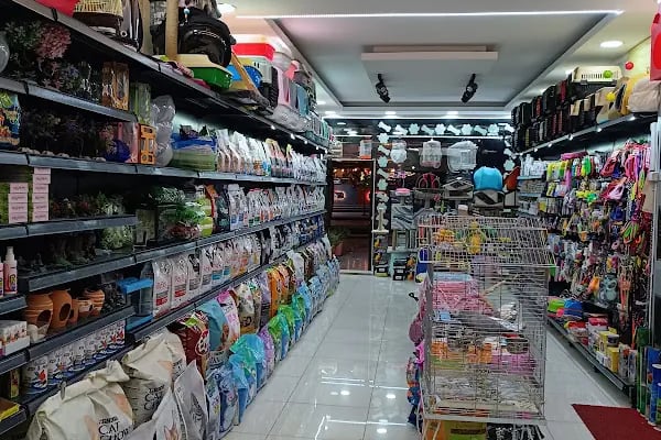 Çınar Akvaryum Petshop - Resim 17