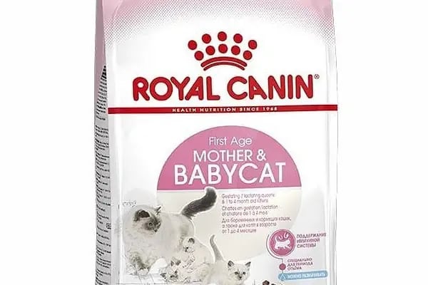 Çınar Akvaryum Petshop - Resim 18