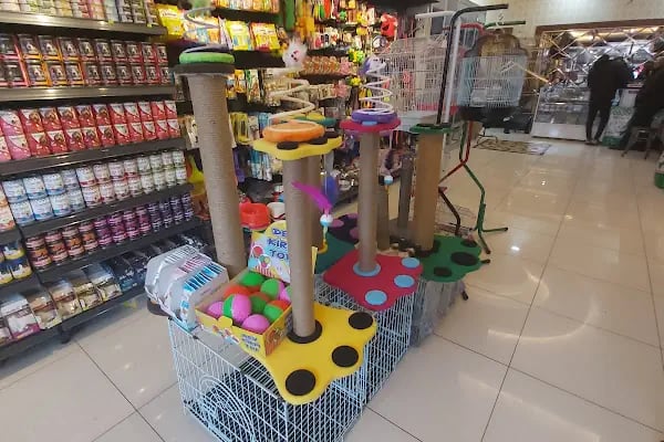 Çınar Akvaryum Petshop - Resim 2