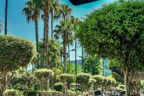 Mazali Restaurant - Resim 2
