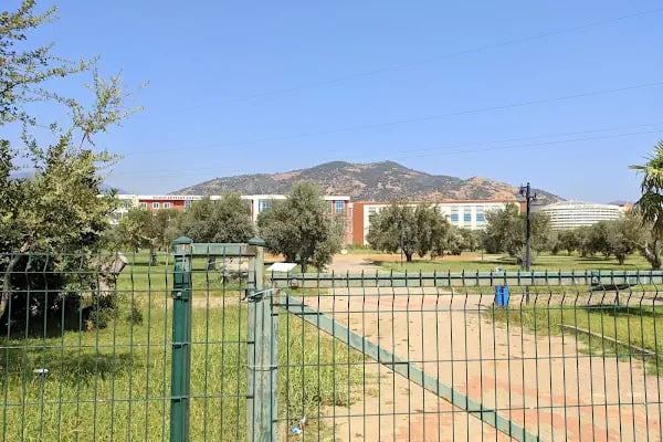 Fen Edebiyat Fakültesi ( İnsan ve Toplum Bilimleri Fakültesi- Fen Fakültesi ) - Resim 16