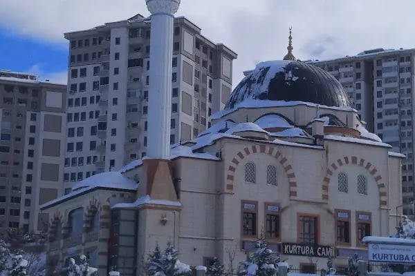 Malatya 100. Yıl İl Halk Kütüphanesi - Resim 7