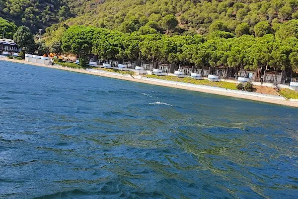 Karayolları Narlı Kampı - Resim 5