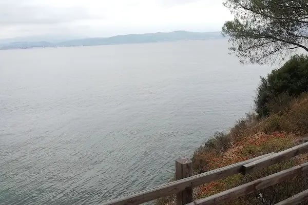Karayolları Narlı Kampı - Resim 12