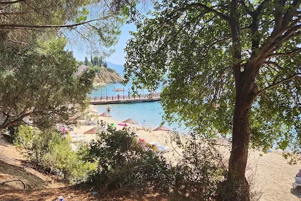 Karayolları Narlı Kampı - Resim 3