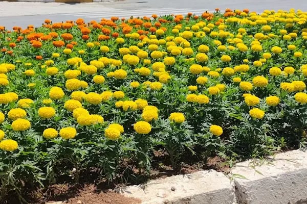 Özel Metrolife Hastanesi - Resim 11