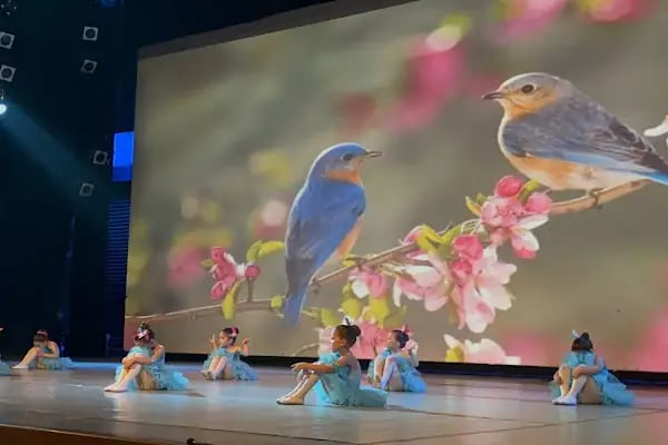 Ege Sanat Merkezi - Bale Müzik ve Drama kursu - Resim 15